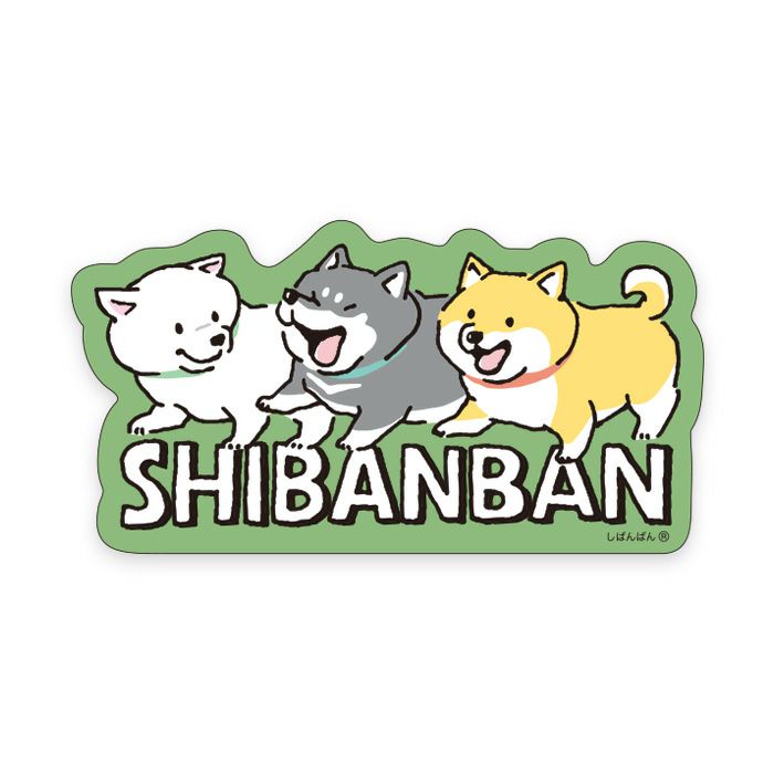 MindWave Mind Wave Sivan Bands 81675 (10 sets)