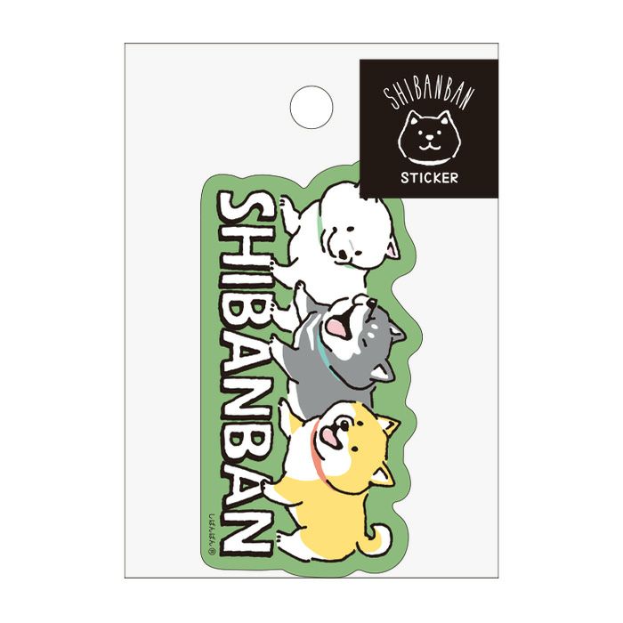 MindWave Mind Wave Sivan Bands 81675 (10 sets)