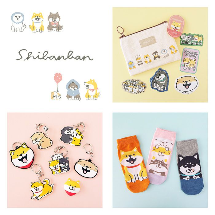 MindWave Mind Wave Sivan Bands 81675 (10 sets)