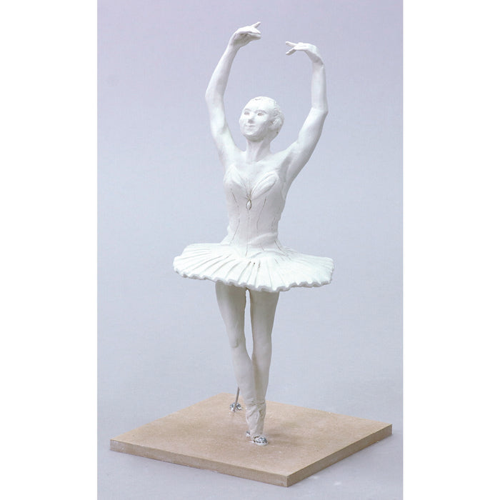 ƒA�[ƒeƒbƒN ‚l‚b‚`�@‚T‚O‚O‚‡ 4521718558479