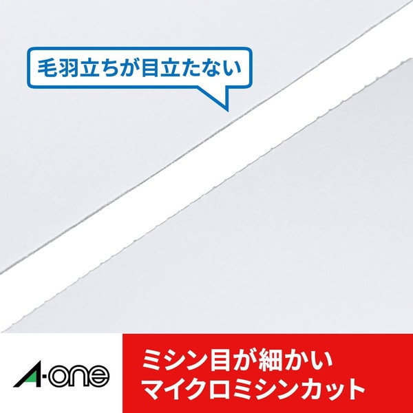 A-One Multi Card 10 Mensai Seishi 51370 4906186513708