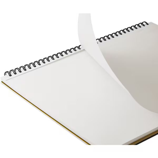 レイメイ藤井 Raymay Fujii ペンパス シャープタイプ バイオレット JC903V 4902562478883（10セット）