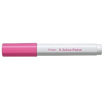 PILOT 果汁漆水性颜料记号笔果汁漆细点粉色 SJP-20F-P（10 件套）