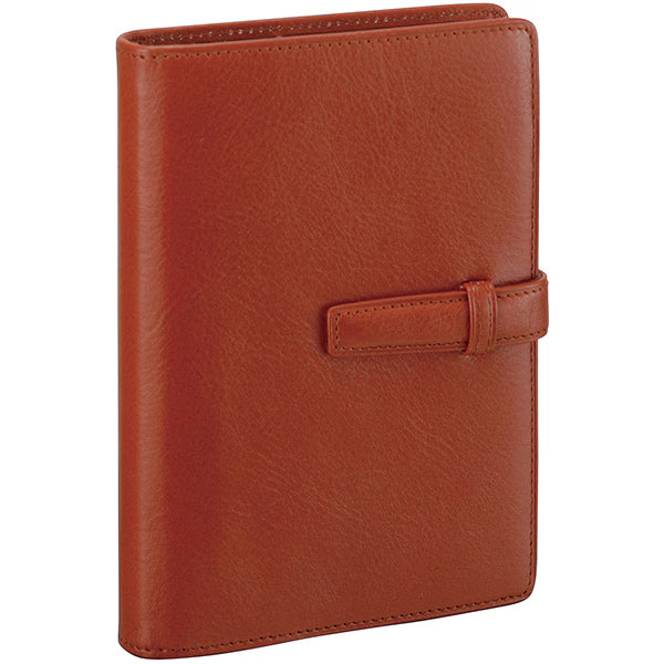 ダ・ヴィンチ Davinci システム手帳 ダヴィンチ（Davinci） スタンダード ポケット 14mm ブラウン DP3008C レイメイ藤井 4902562432335（10セット）