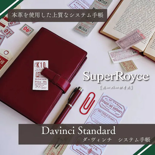 ダ・ヴィンチ Davinci システム手帳 ダヴィンチ（Davinci） スタンダード ポケット 14mm ブラウン DP3008C レイメイ藤井 4902562432335（10セット）