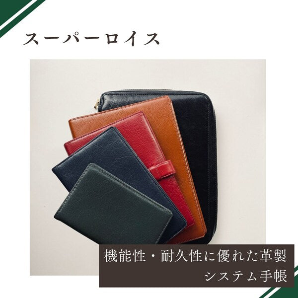 ダ・ヴィンチ Davinci システム手帳 ダヴィンチ（Davinci） スタンダード ポケット 14mm ブラウン DP3008C レイメイ藤井 4902562432335（10セット）