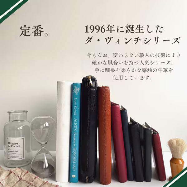 ダ・ヴィンチ Davinci システム手帳 ダヴィンチ（Davinci） スタンダード ポケット ジャストリフィルサイズ 8mm ワイン JDP3009Z レイメイ藤井 4902562432397（10セット）