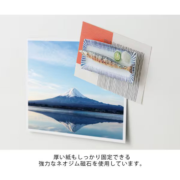 ミドリ デザインフィル DESIGNPHIL マグネット 1個入 さんま柄 43412006 4902805434126（3セット）