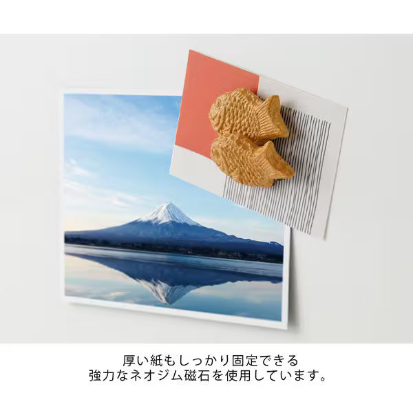 ミドリ デザインフィル DESIGNPHIL マグネット 1個入 たい焼き柄 43418006 4902805434188（3セット）