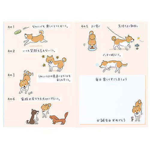 산리오 생일 BD270-5 460834 4550624460835 (5개 세트)