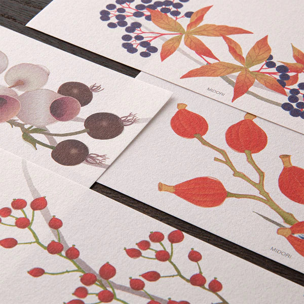 ミドリ デザインフィル DESIGNPHIL 限定 便箋177 4柄入 秋リース柄 87177006 4902805871778（5セット）