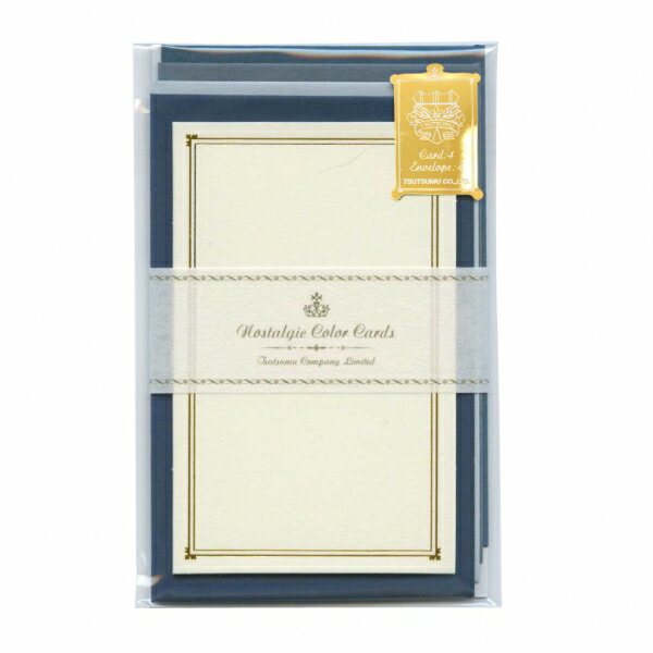 包む　ノスタルジックカラー　ＩＢ TC0354512427014066（5セット）