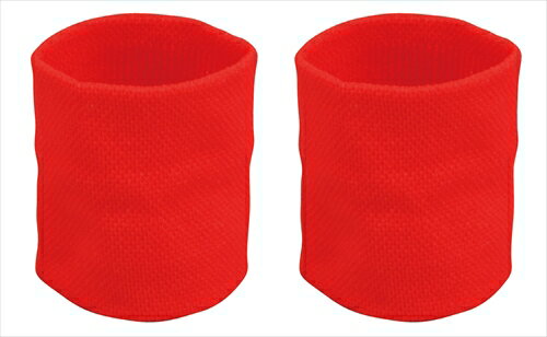 アーテック ダンスリストバンド　赤 4521718029498
