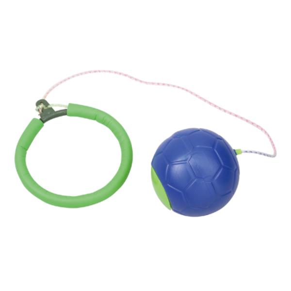 Artec Big Ball Skip blauw 4521718068466