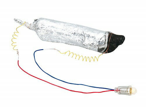 アーテック 備長炭電池セット 4521718089485