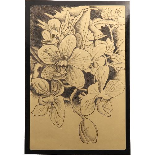 アーテック 黒色ベーススクラッチボード　ゴールド 4521718131238