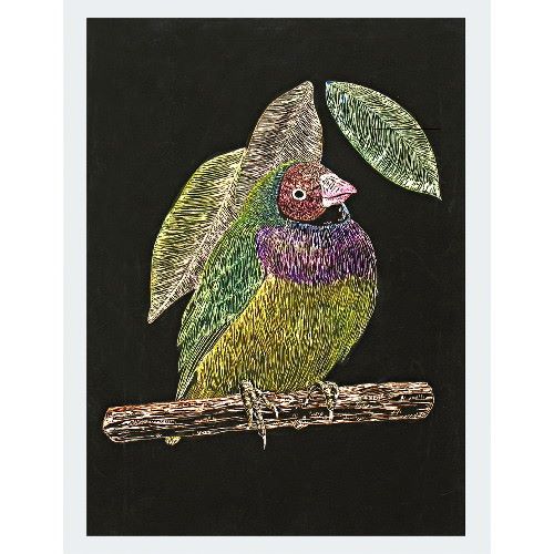 アーテック スクラッチボードＥＸ　スクレーパー 4521718134673