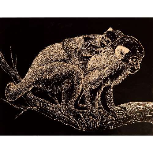 アーテック ゴールドスクラッチボード　メタリックフレーム付 4521718138879