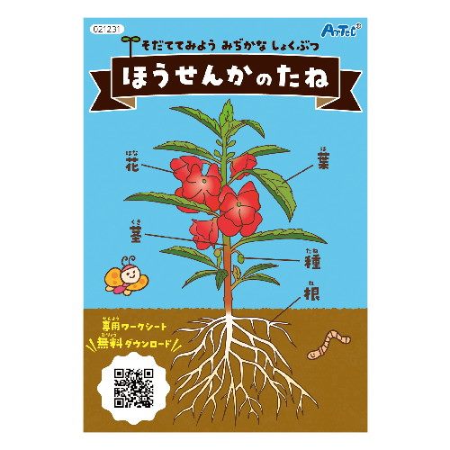 Artec Hosenka no Tane (kindergarten teaching materials) 4521718212319