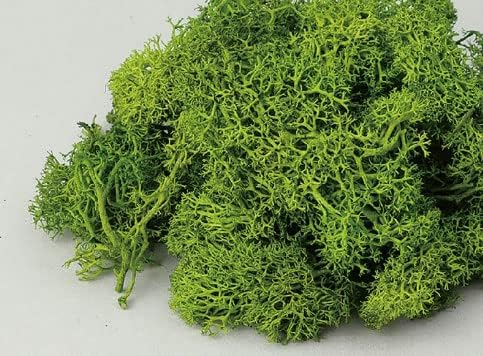 アーテック アイスランドモスフレッシュグリーン 4521718477565