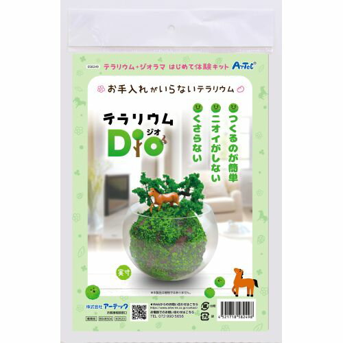 Artec Terrarium ดิโอ 4521718582498