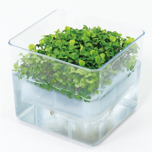 Artec Hydroponic Cultivation Unit Baby Leaf Mix 4548030029661