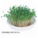 Unità di coltivazione idroponica Artec Broccoli Sprout 4548030029692