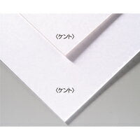 アーテック Ａ＆Ｂオリジナルアートボード　Ｂ３ケント 4548030433024