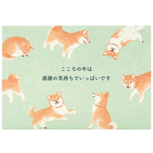 Sanrio Sankiyu TY111-2 831760 4550337831762 (5 ชุด)