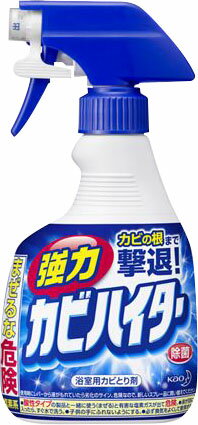 カビハイタースプレー　ホンタイ　 400ML 花王 4901301222824（10セット）