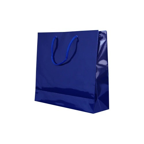 ヘイコー ブライトバッグ GM シコン 006137919(1枚入) シモジマ 4901755559231（10セット）