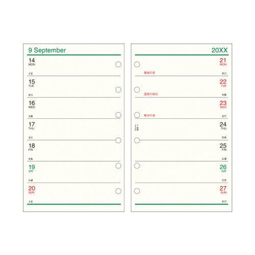 レイメイ ダイアリー２０２６ DPR2633 4902562515793