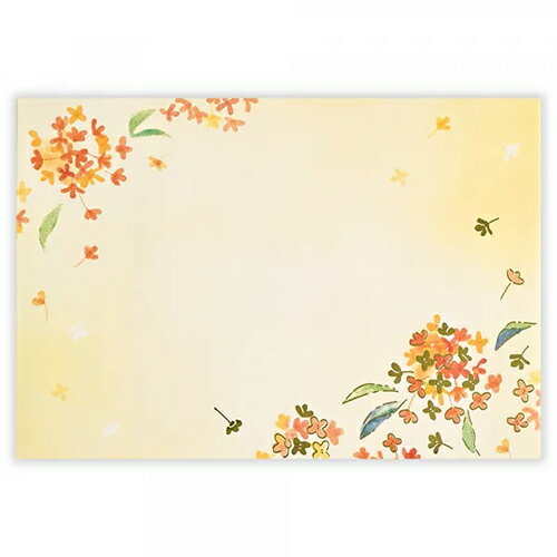 エヌビー 封筒秋色オスマンサス 4596968 4905260797324（3セット）