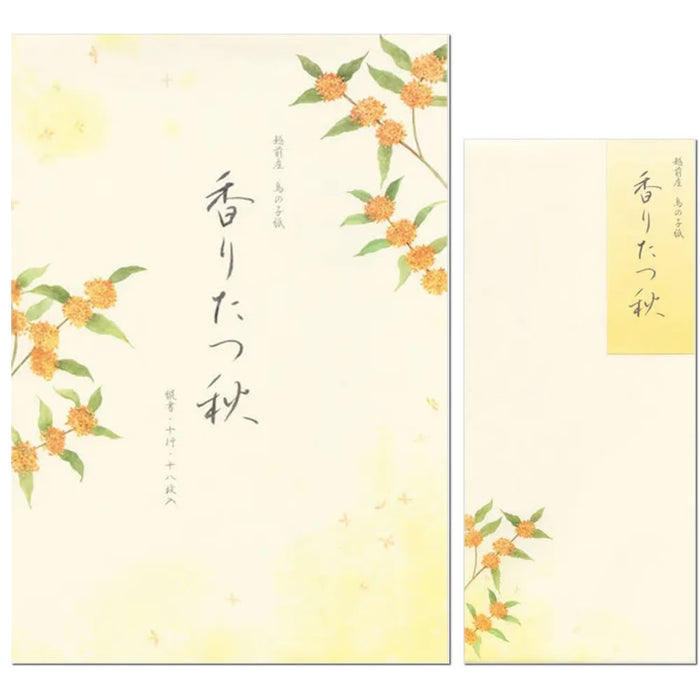 エヌビー 便箋秋五集カオリタツアキ３Ａ 5810266 4905260797799（3セット）