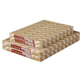 ゴークラ ケント紙 ケンパス A4 A-304 ゴークラ 4905930100133（100セット）