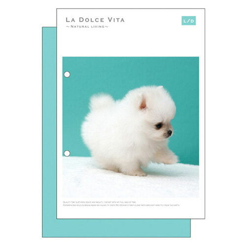 MindWave マインドウェイブ マインド ドルチェA5綴じノート 11964（10セット）