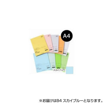 オストリッチ_リッチライトカラーアツクチスカイブルー HC-B41 /539（10セット）