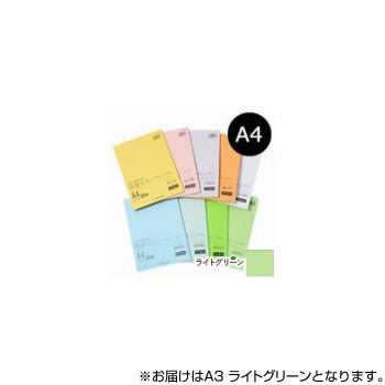 オストリッチ リッチライトカラーゴクアツクチライトＧ GC-A34 4930194275679