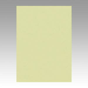 リュウグウ ニューカラー４切 124ﾓｴｷﾞ 4954022641245（100セット）