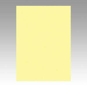 リュウグウ ニューカラー４切 134ﾗｲﾄｲｴﾛｰ 4954022641344（100セット）