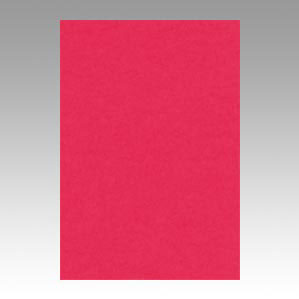 リュウグウ ニューカラー８切 325ﾎﾞﾀﾝ 4954022683252（100セット）