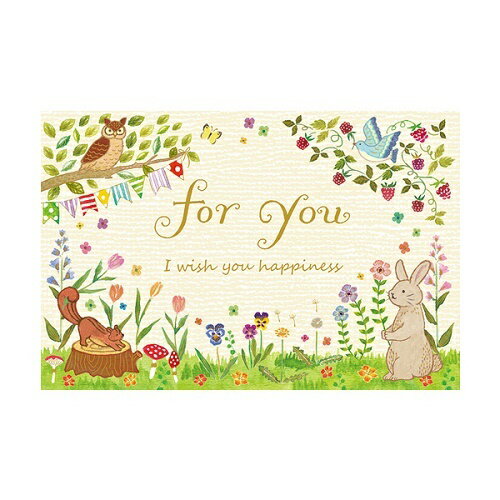 チキュウ　エブリデイカードG250-317 4963328143179（5セット）