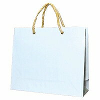 うずまき_キャリーバッグＳシロ ｽ-928 /176（10セット）