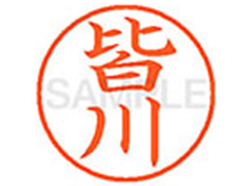 XL-9ﾐﾅｶﾞﾜ　シヤチハタ XL-9 2459 ミナガワ ネーム9 既製 2459 皆川 XL92459ミナガワ シヤチハタ 4974052579387（10セット）