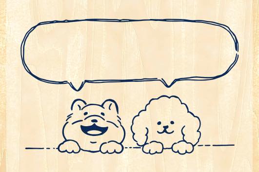 ビバリー ヤア TSW-092 4977524128274（2セット）