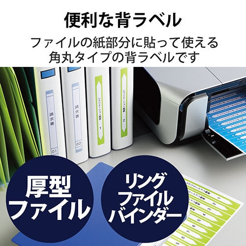 エレコム 背ラベルファイル用A4 13面10枚 EDT-TF13 4953103206656