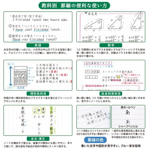 Tree s B5 Pメモリ B罫30枚ライトブルー キョクトウ 4901470068322