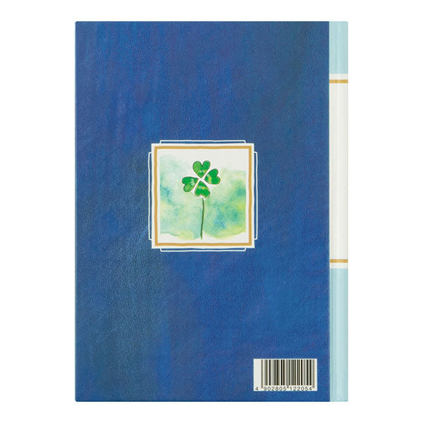 ミドリ/日記流れ星柄 4902805122054（10セット）