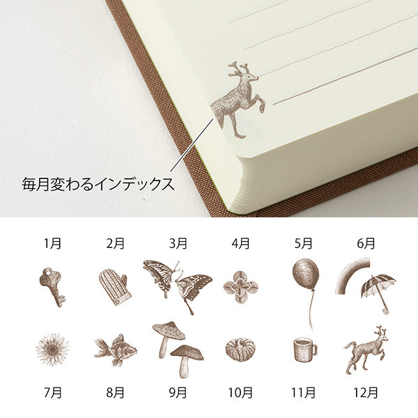 Midori/12395006_Diary 3 years continuous use Door Brown/4902805123952