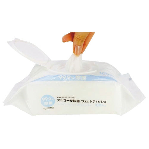 エコパックアルコール除菌ウェット100枚 システムポリマー 4562224318935